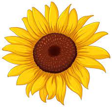 Sunflower Clip Art Images - Free Download on Freepik